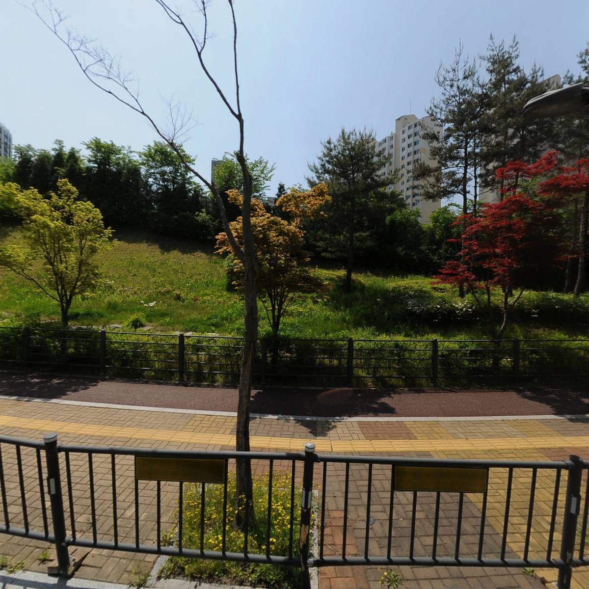 라스샵