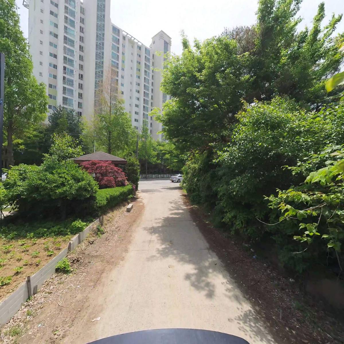 광성전자_2