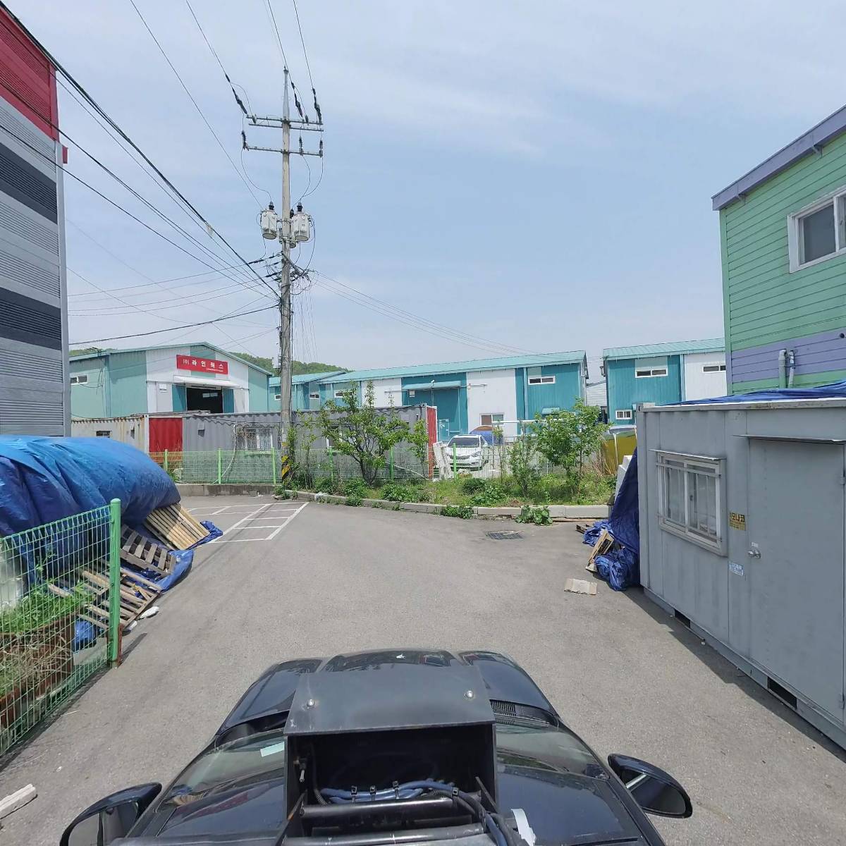 마일드팜_4