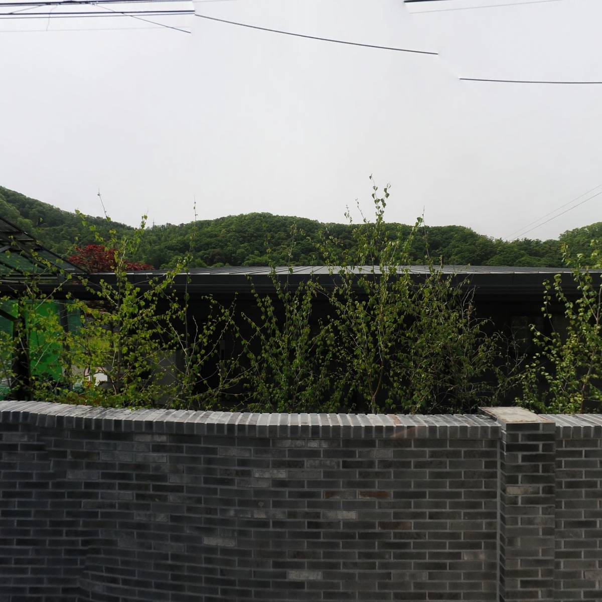 그린소프트