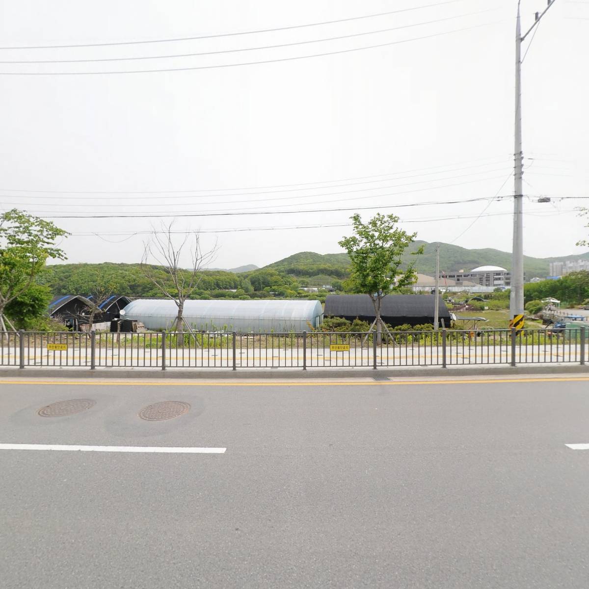 백운생고기_3