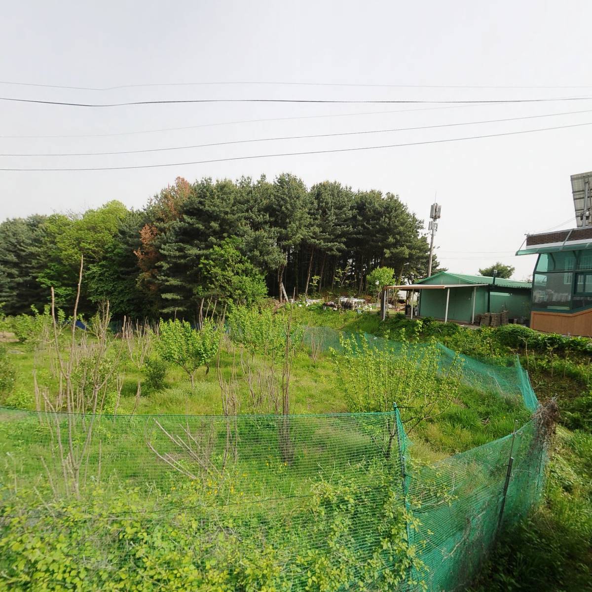 램마호크_3