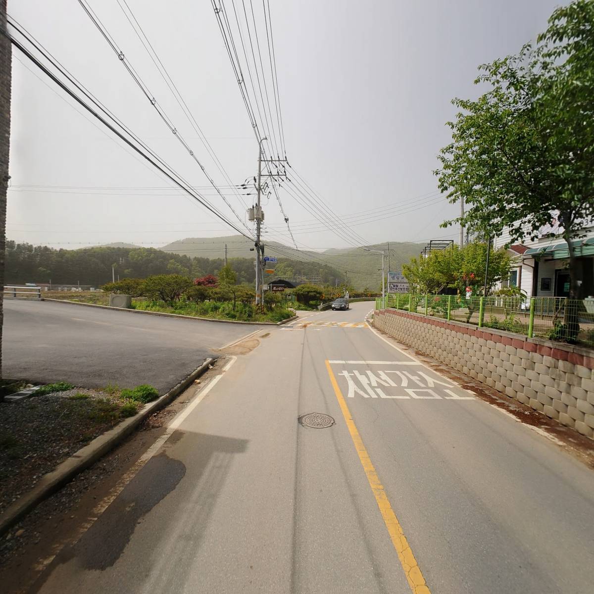 더그로브(The grove)_2