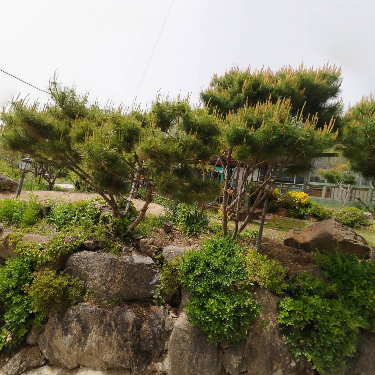 엘포레스트_3