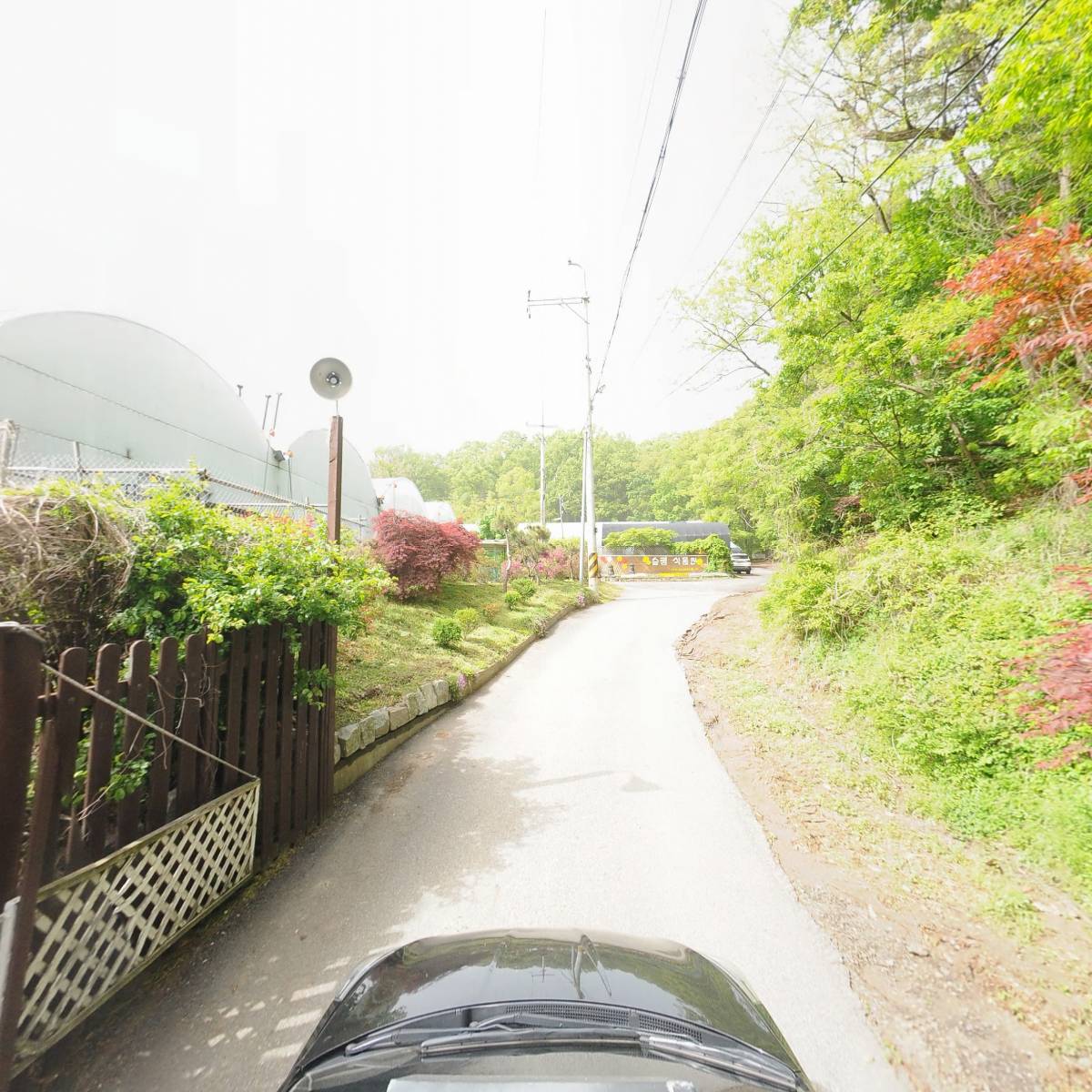 승림식물연구원_4