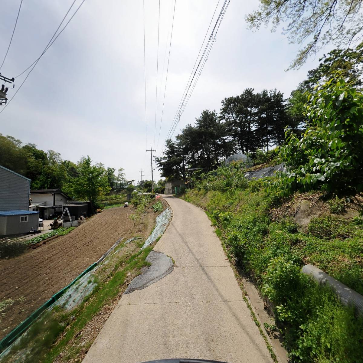 디더블유피（DWP）_2