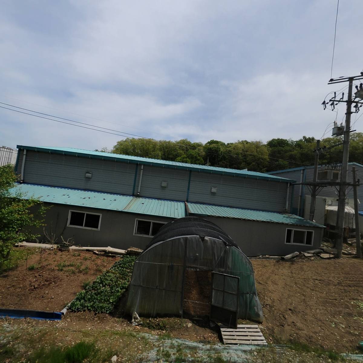 디더블유피（DWP）