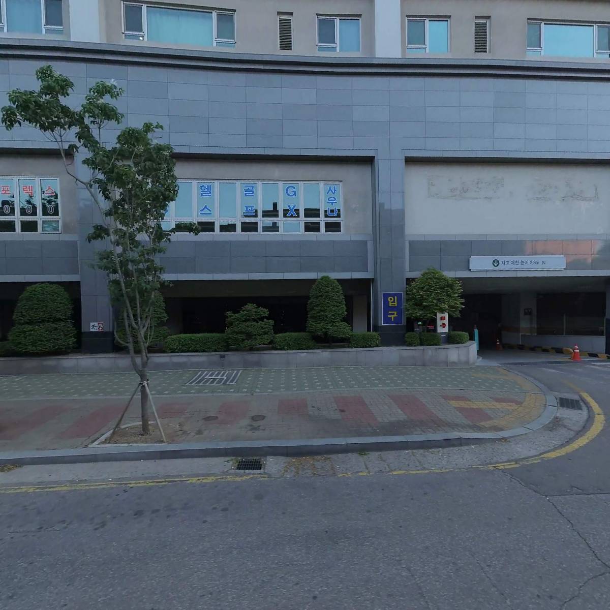 드라이올데이(DRY ALL DAY)