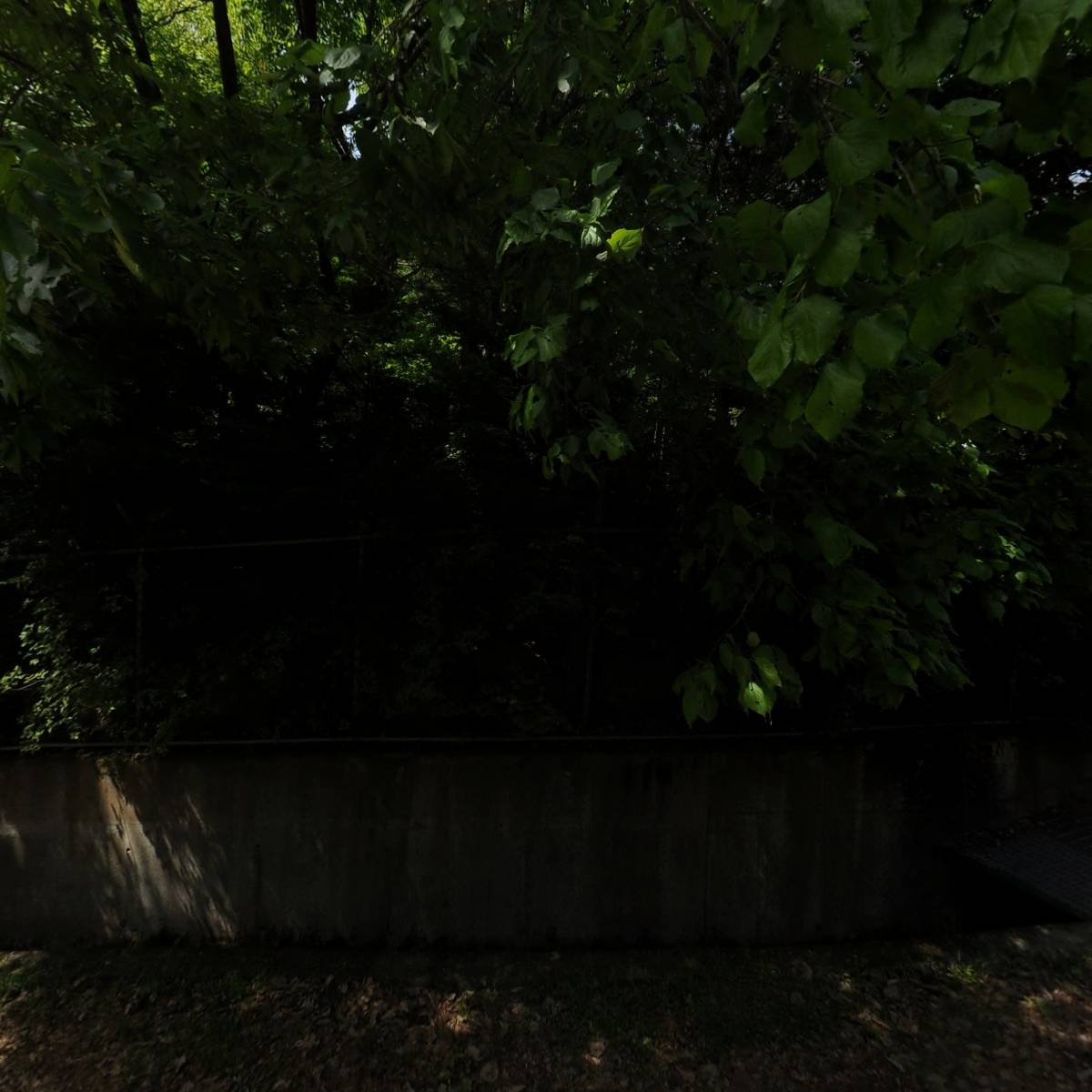 로드힐골프클럽_3