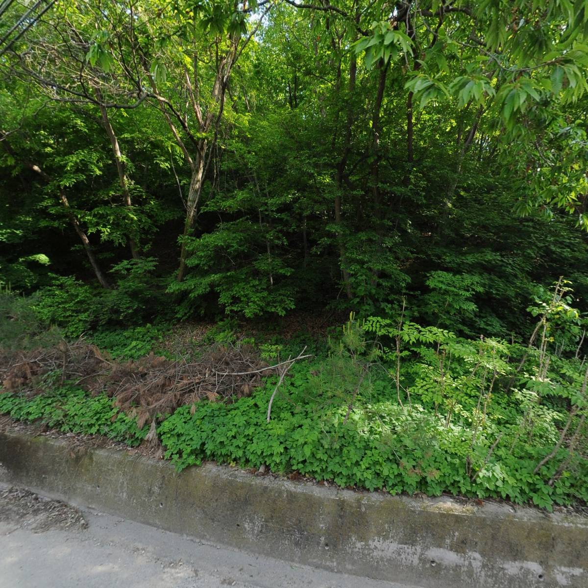 주식회사 복진산업개발_3
