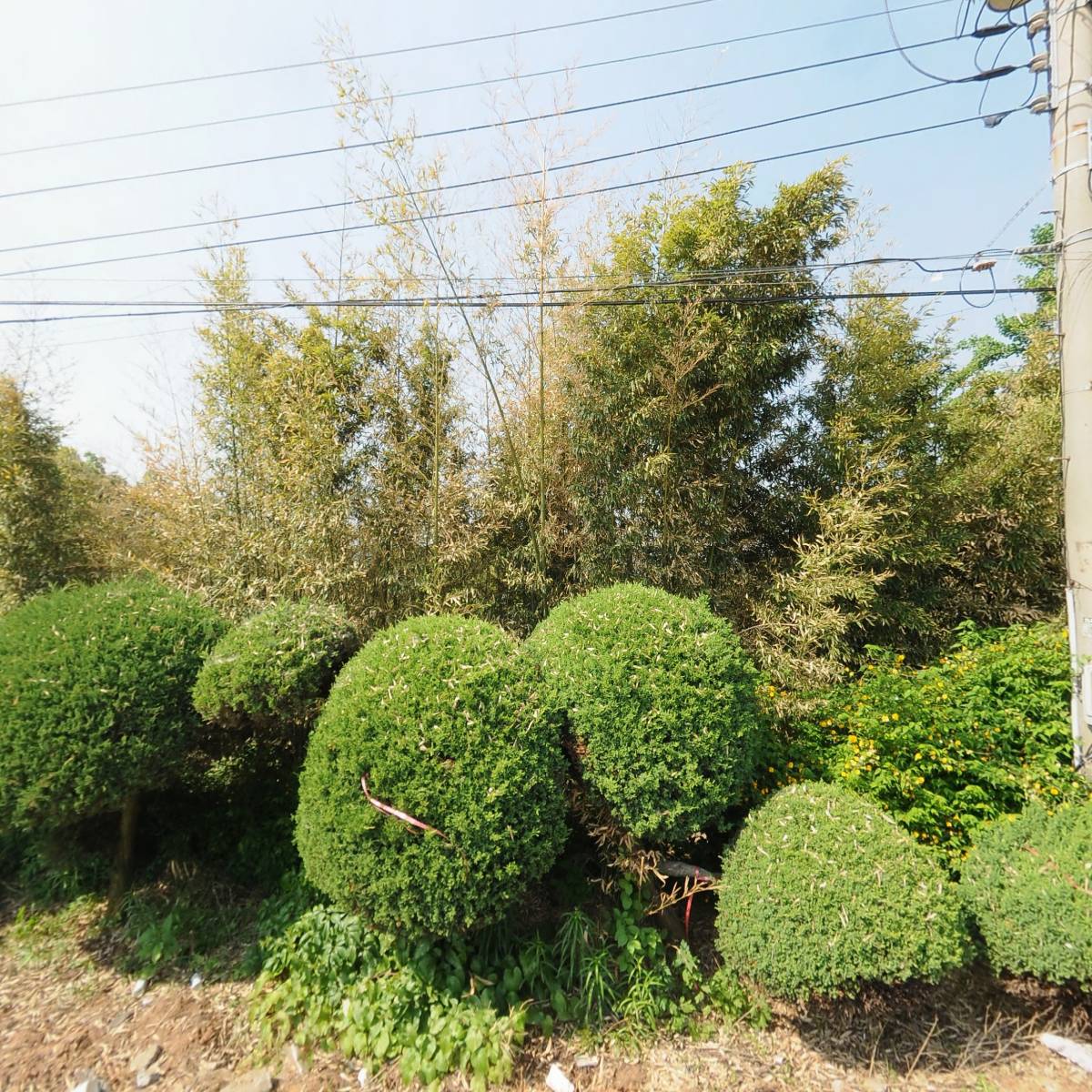 대림테크_3