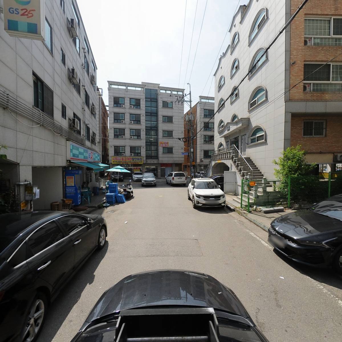캣독월드_4