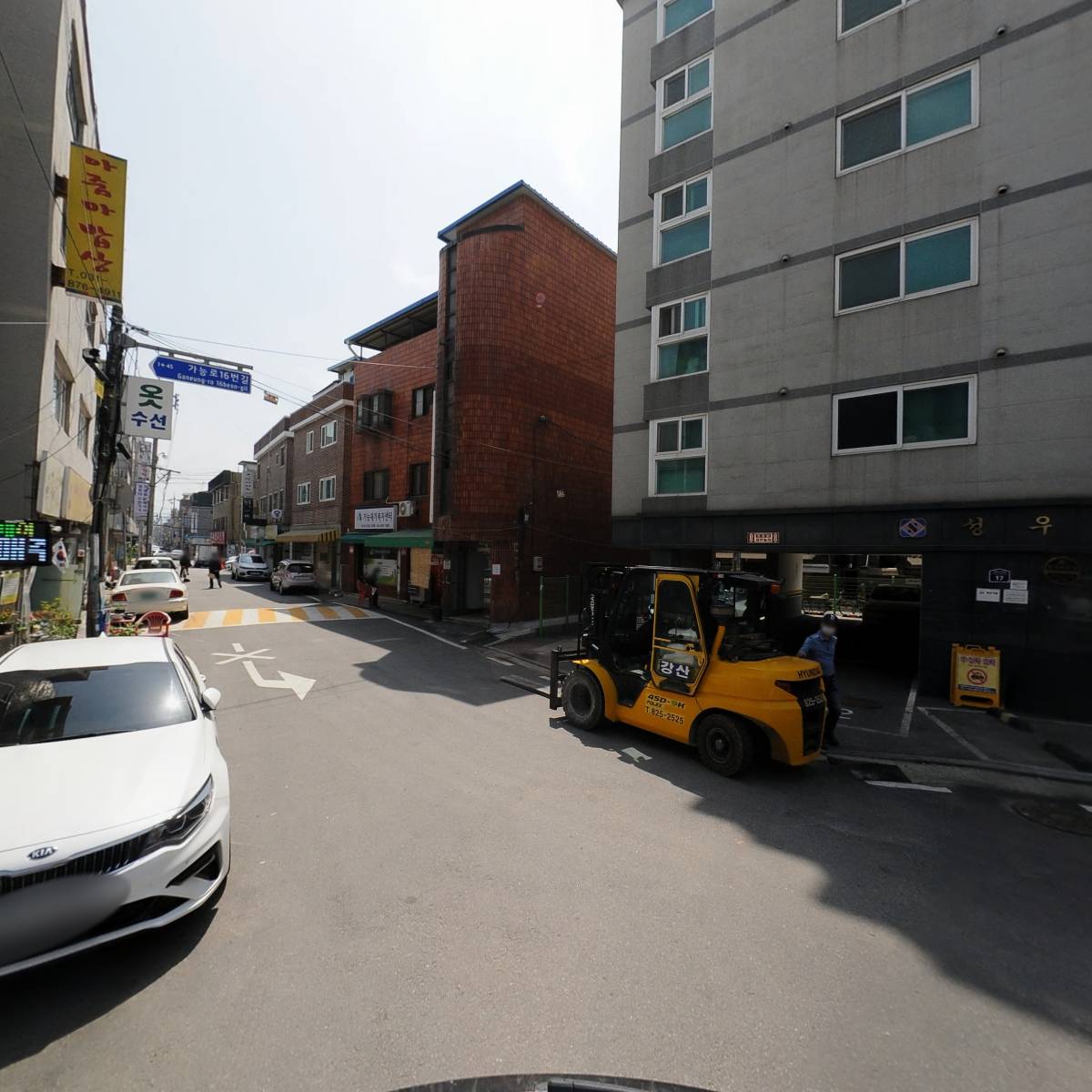 크로커스(CROCUS)_2