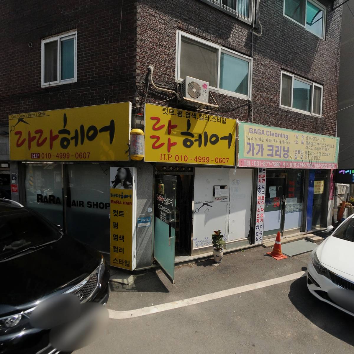 크로커스(CROCUS)