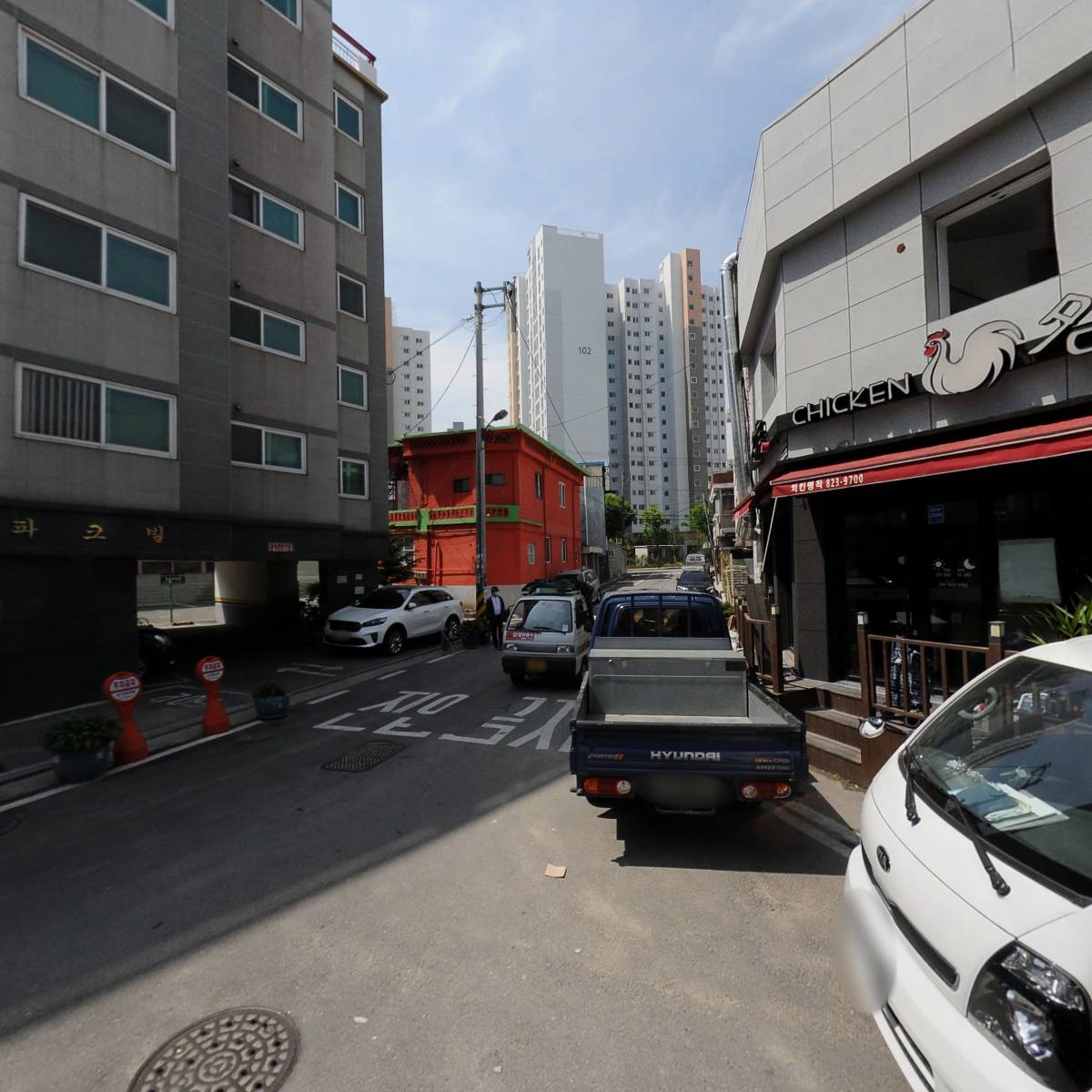 크로커스(CROCUS)_3