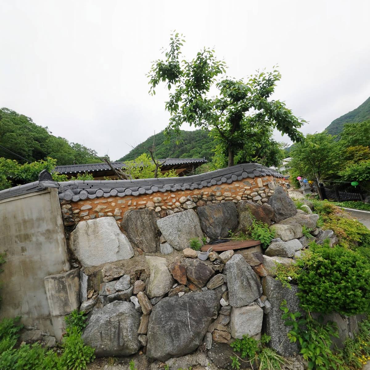 한국불교태고종관음사