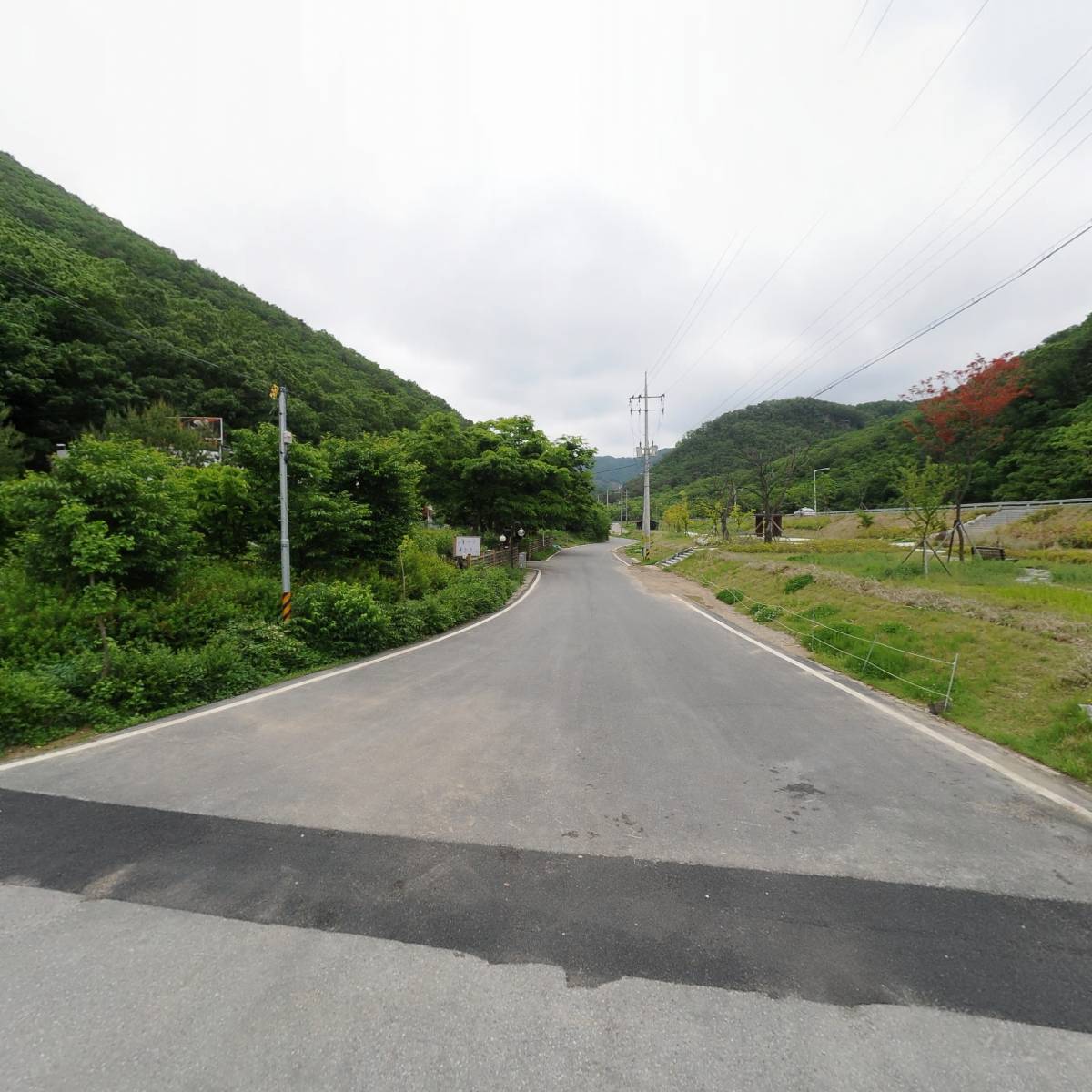 황제코다리 시래기밥_2