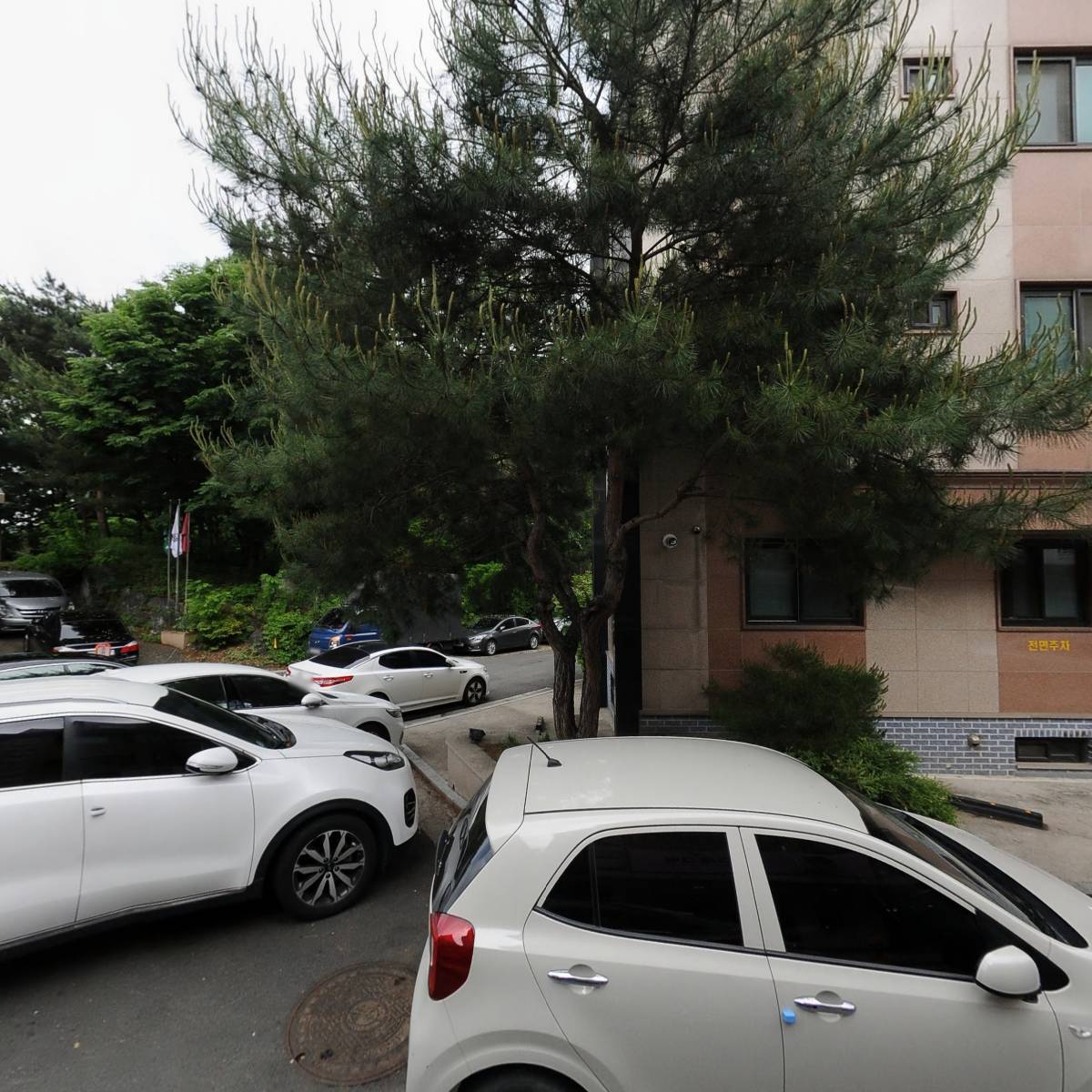IS 자동문