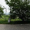 양평군파크골프협회_3