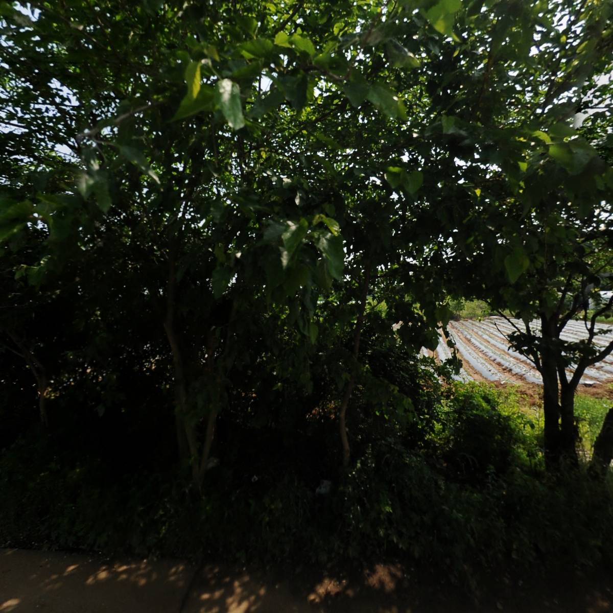 명성진열장_3
