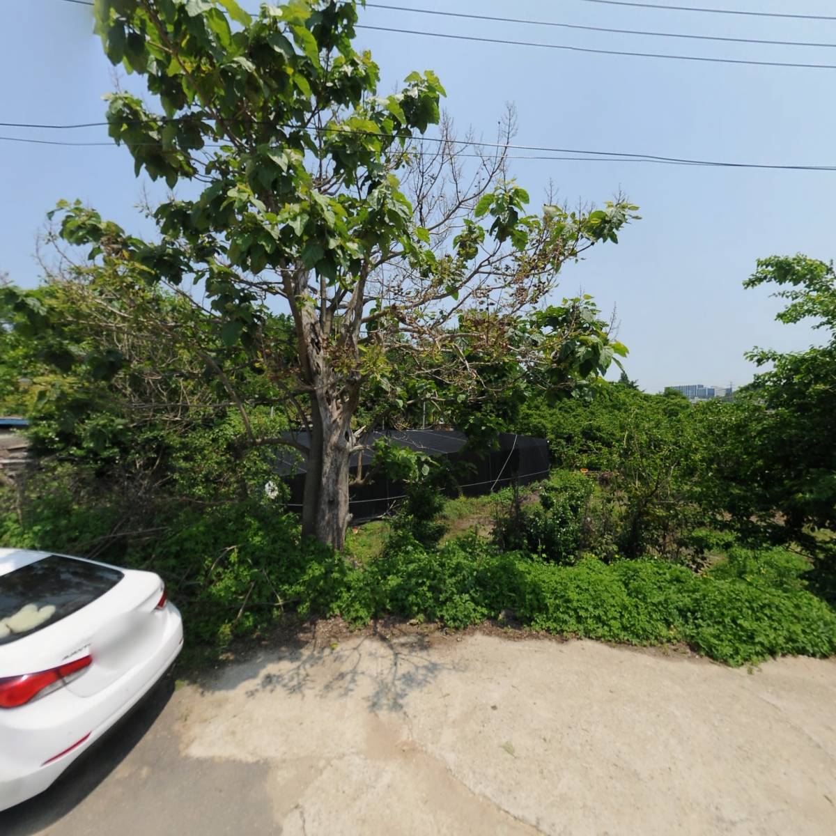 더존휠타_3