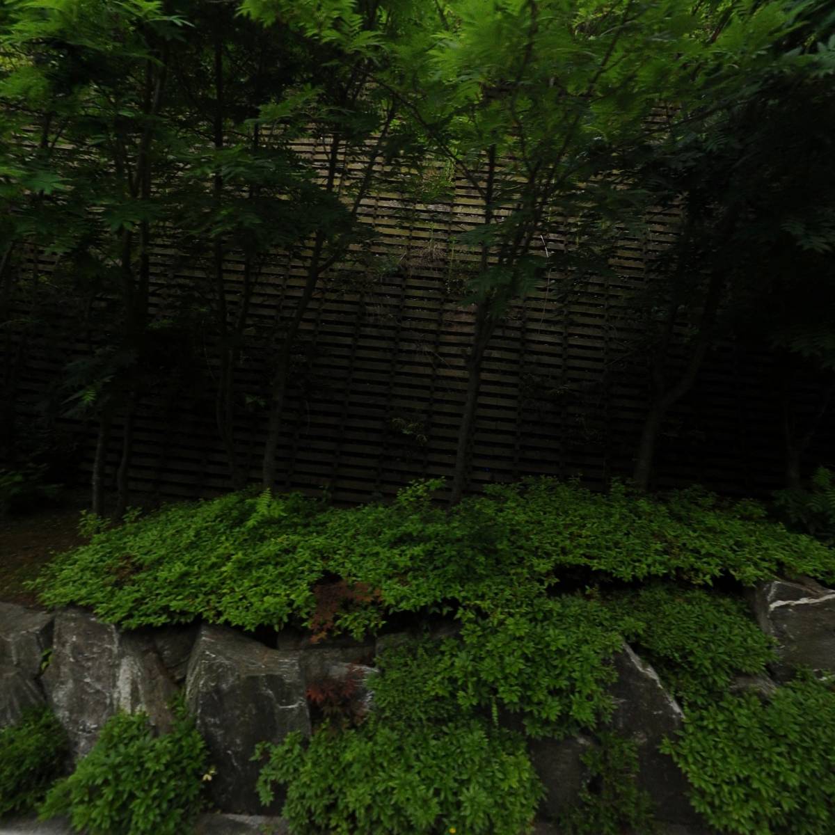 미트레이드