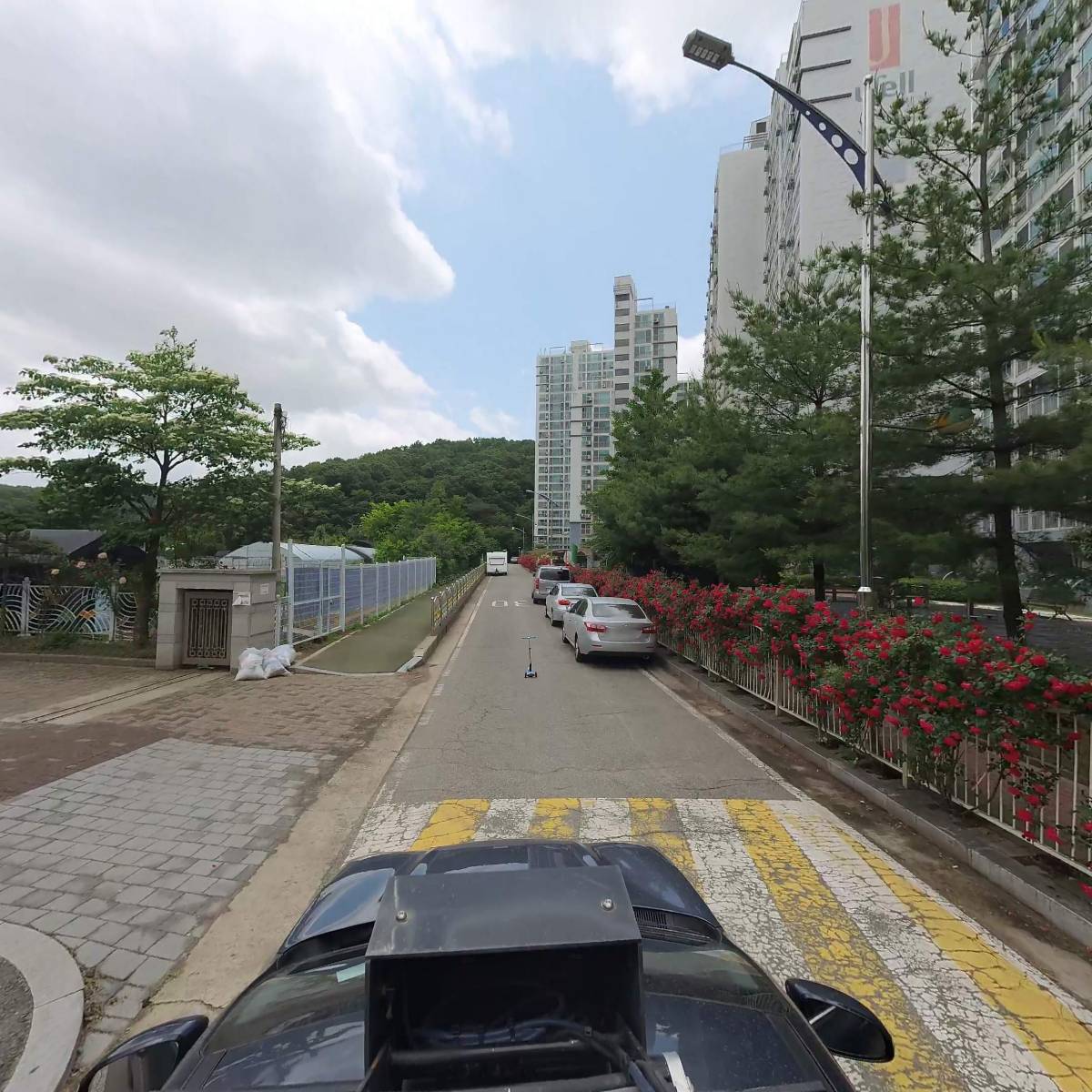 반려동물 장례식장,애완견 장례식장_4