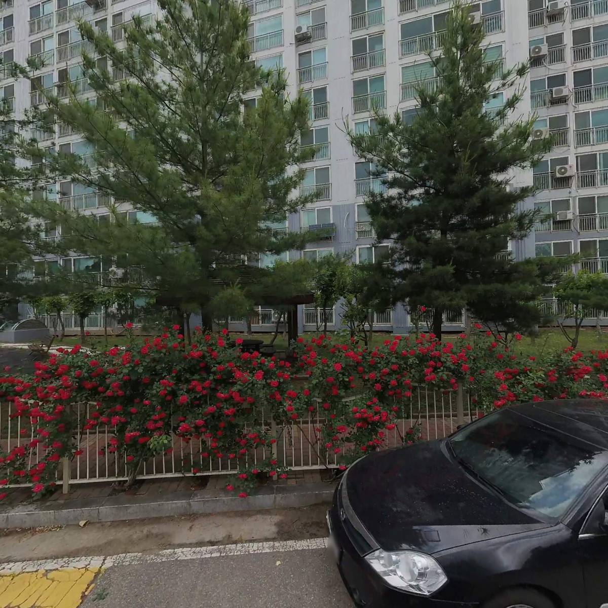 반려동물 장례식장,애완견 장례식장