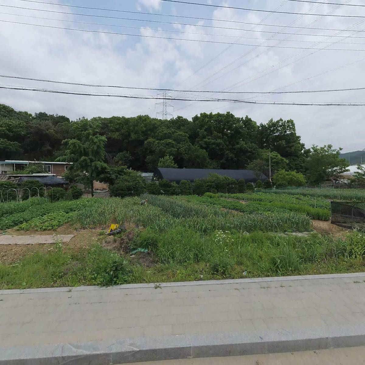 (주) 싸이퍼일렉트로닉 (알씨고양지점)