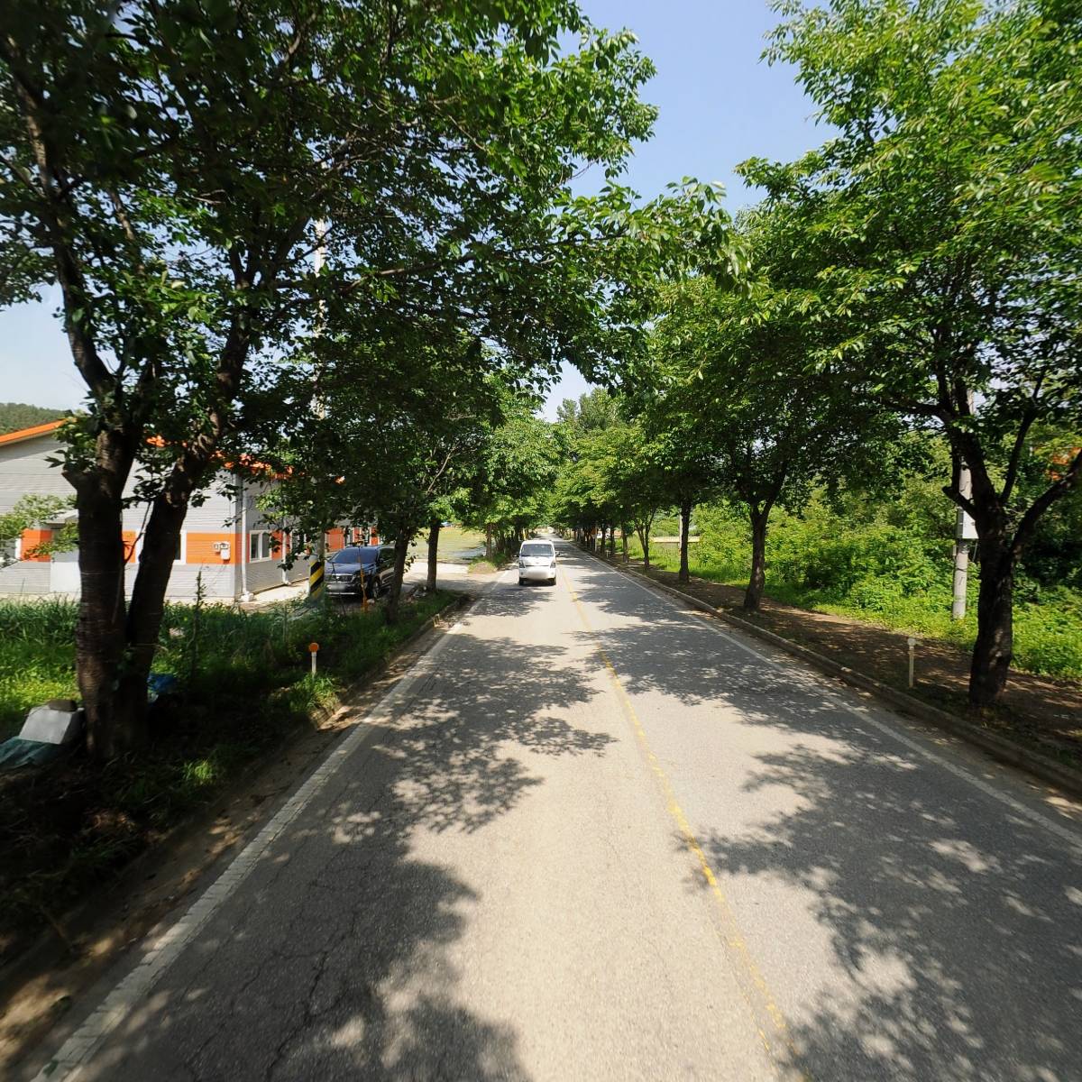 비바그린_2