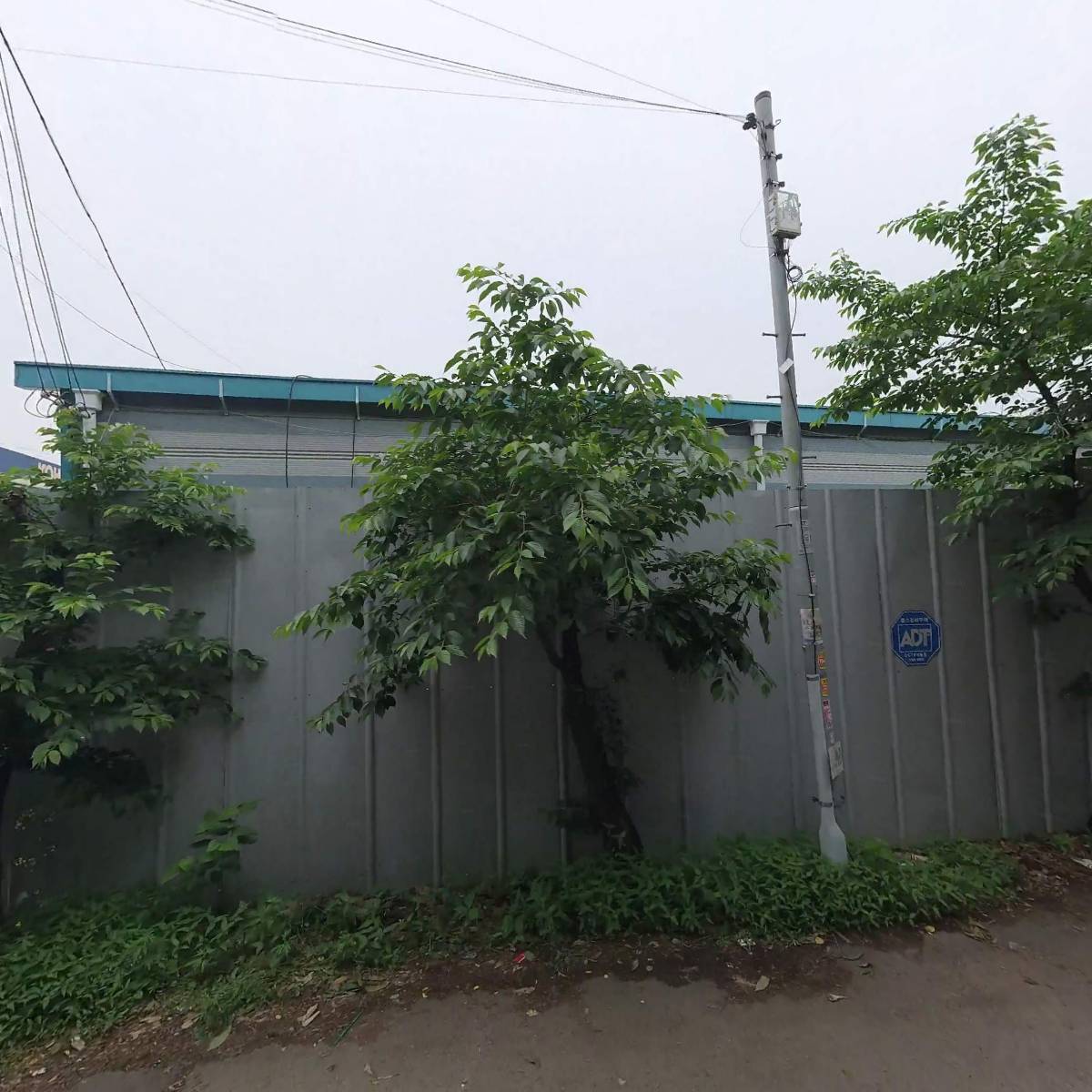 주식회사 마이