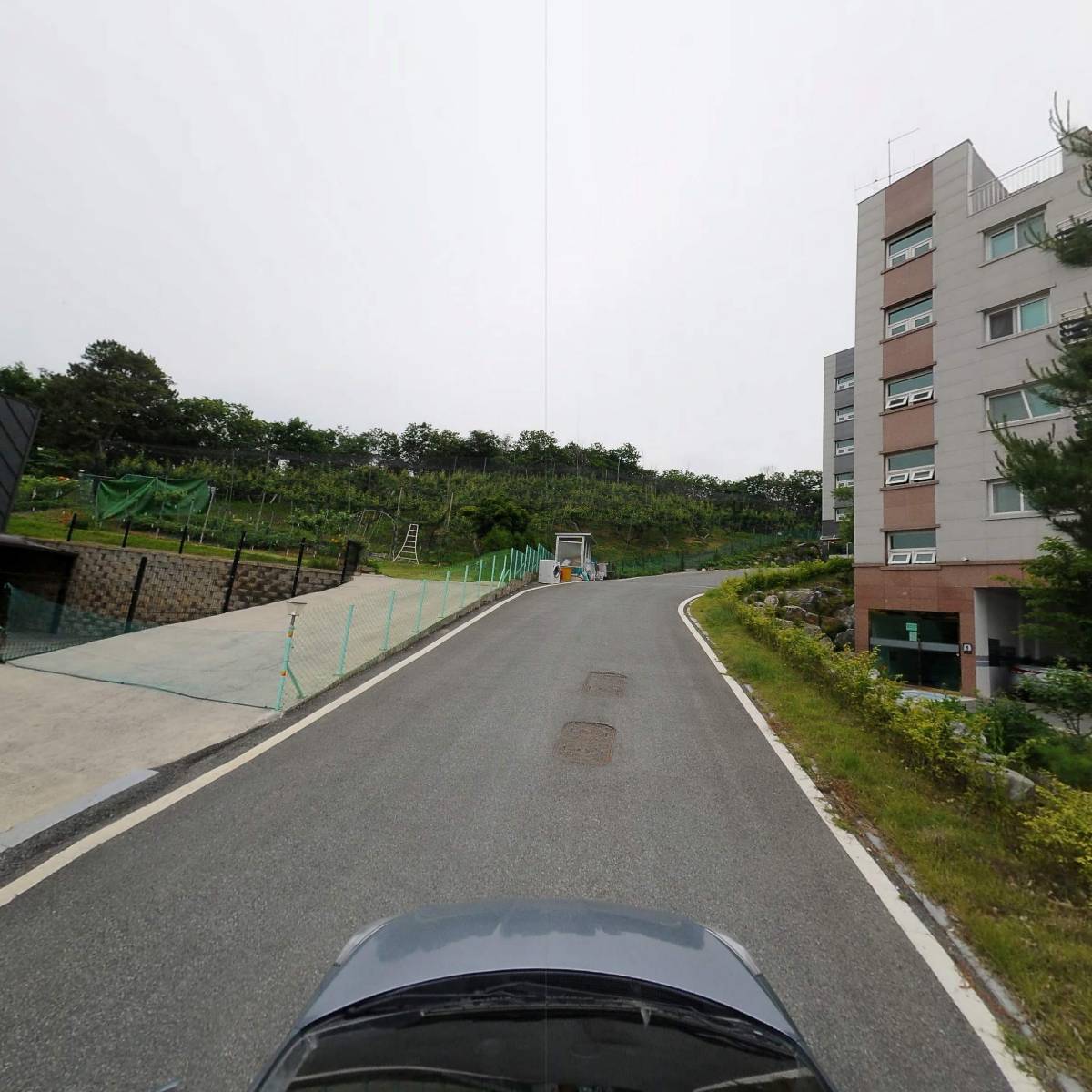 하몽_4