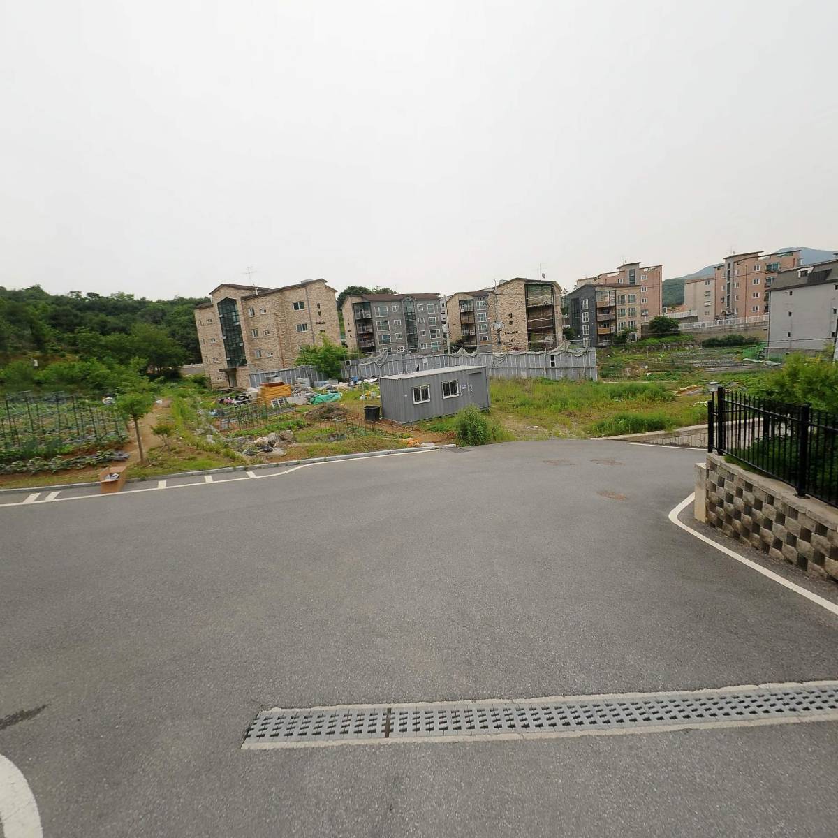하몽_2
