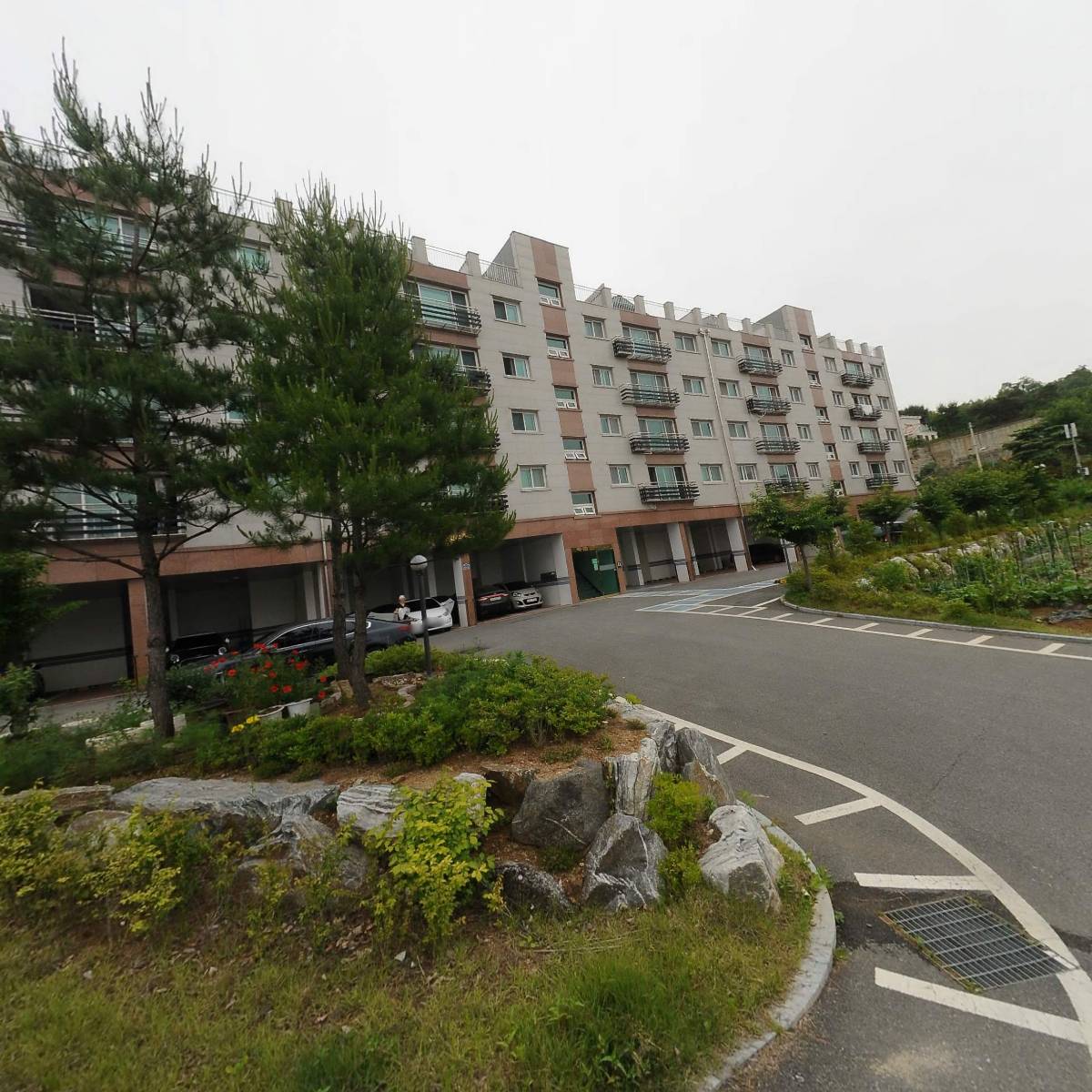 하몽