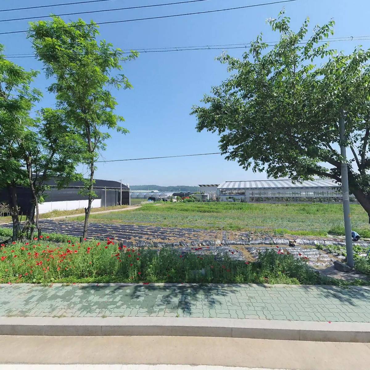 (주)신일화학