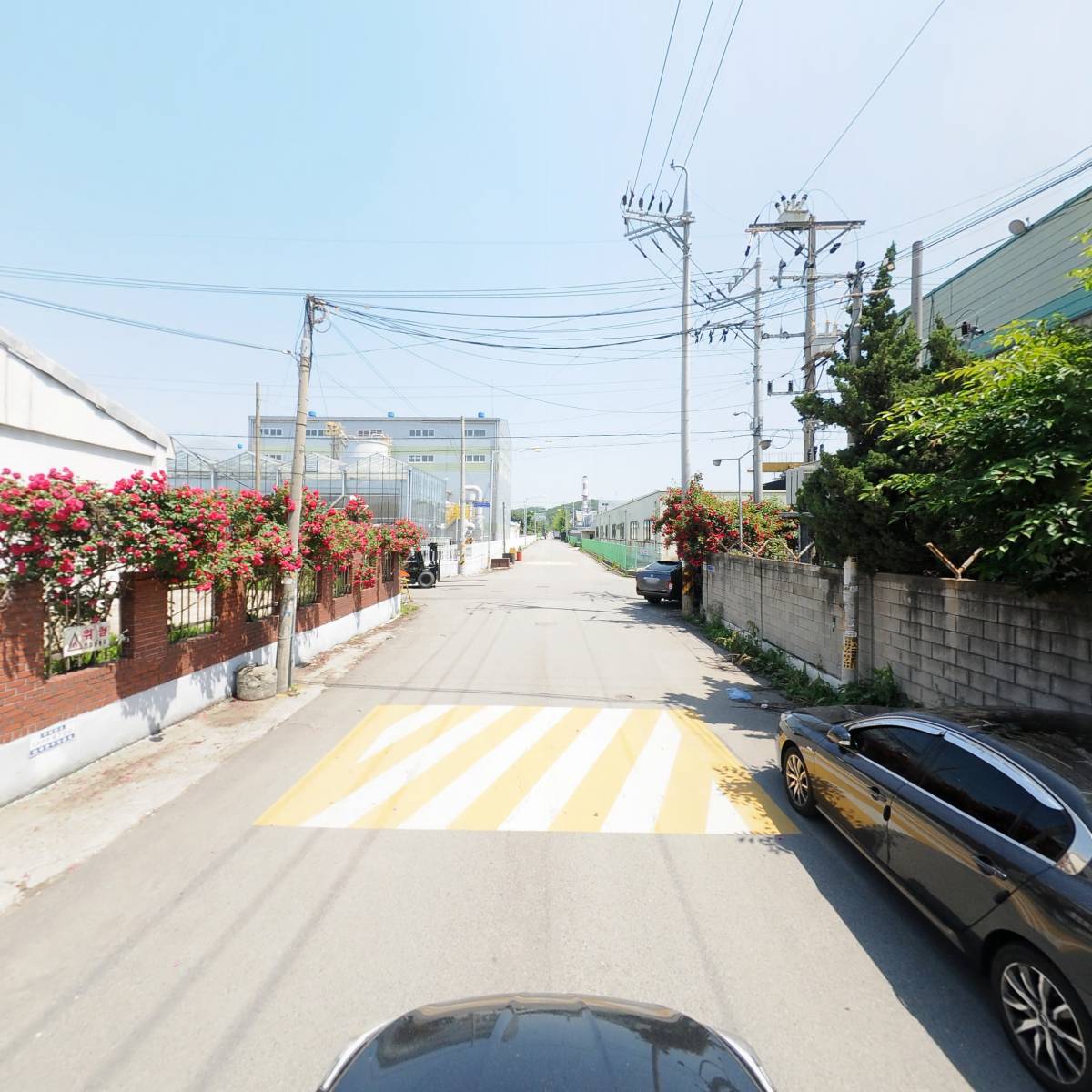 디비코스메틱_4