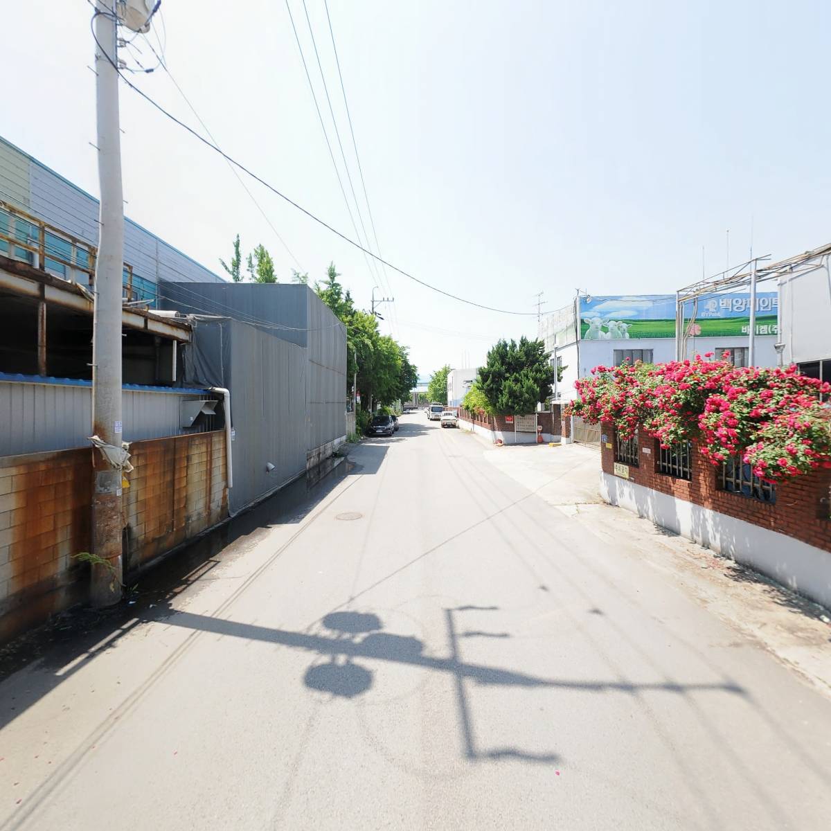 디비코스메틱_2