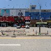 진접솔동물병원