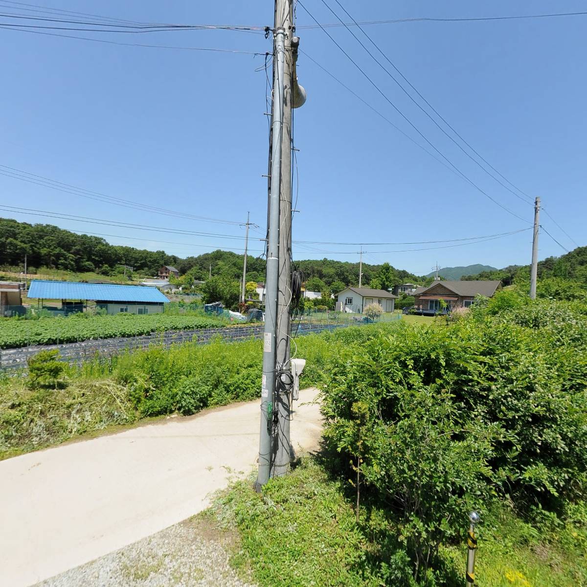 주식회사 담담_3