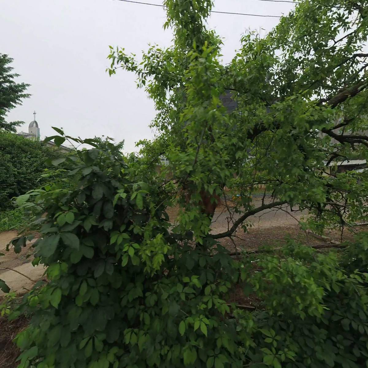 (주)온트리바이오_3