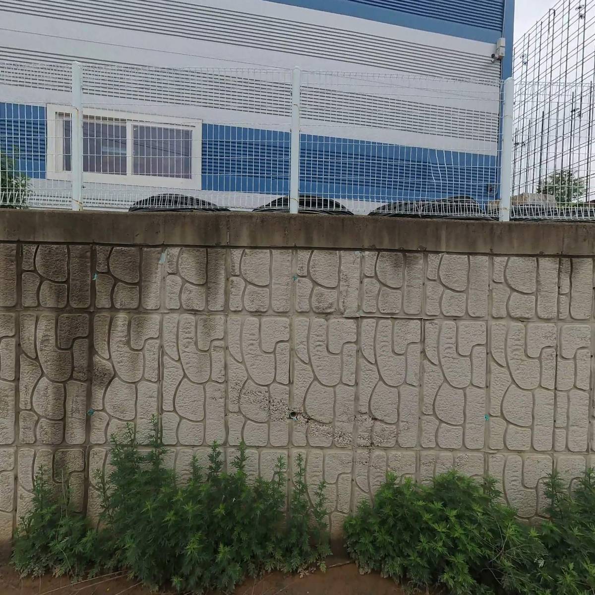 주식회사 삼시푸드_3