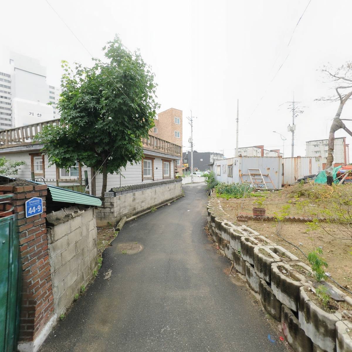 신성바이오팜_2