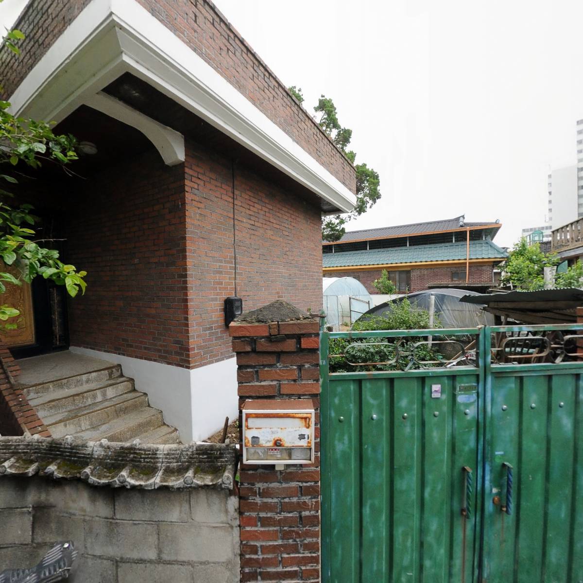 신성바이오팜