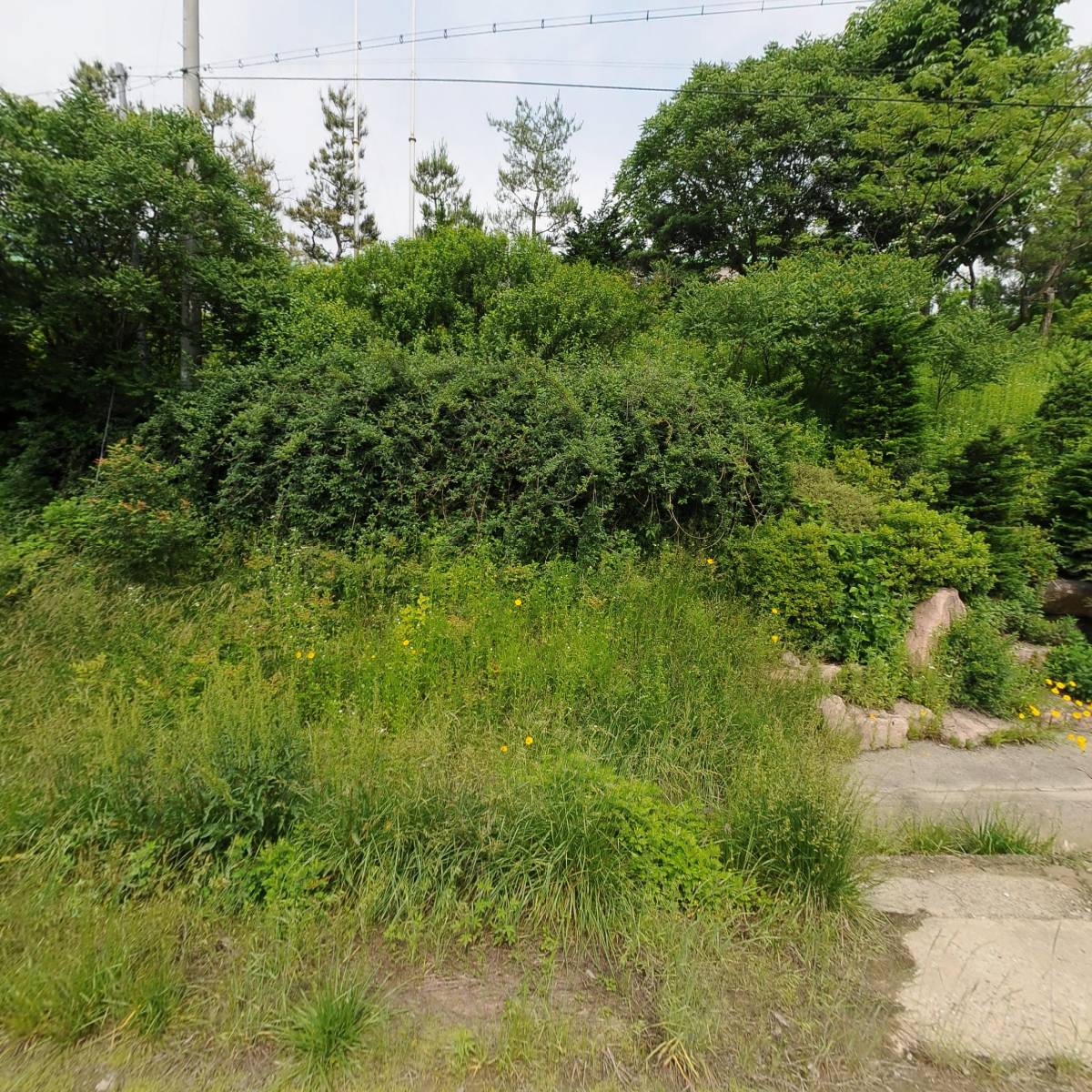(주)에스씨티