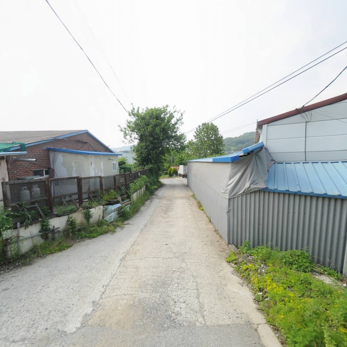 K.V 바이오젠_2