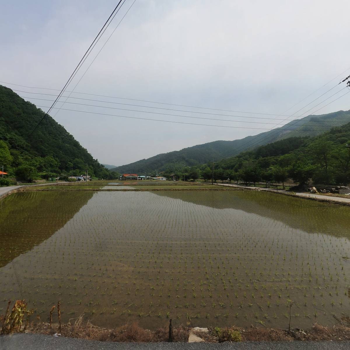 청주시무심천발원지용왕제문화축제추진위원회