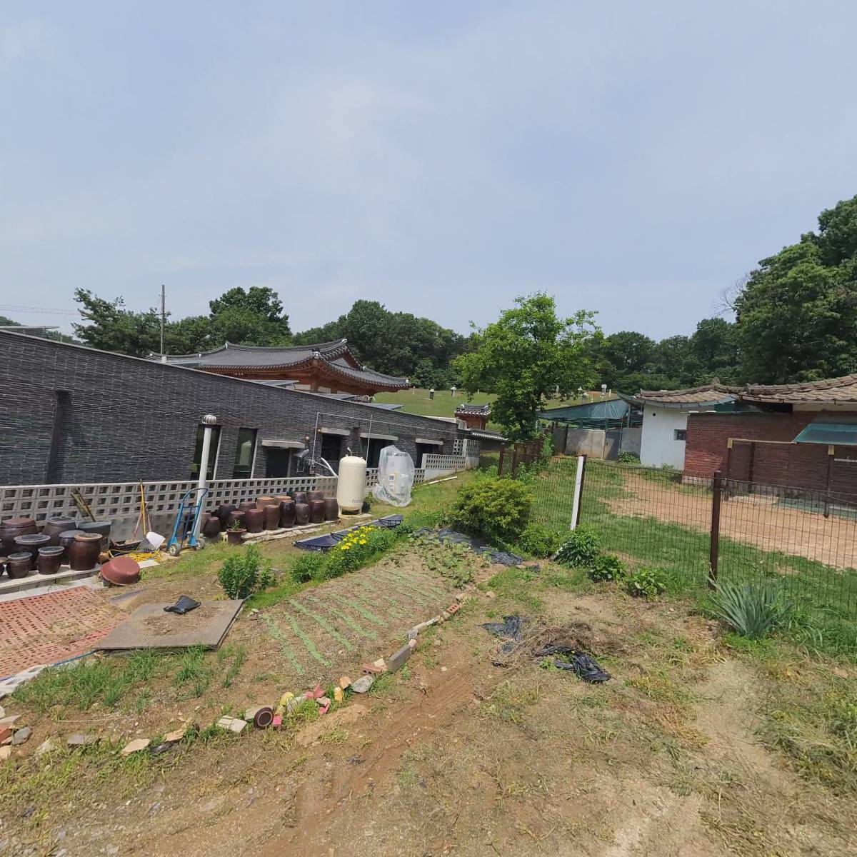 펫코인왕산_3