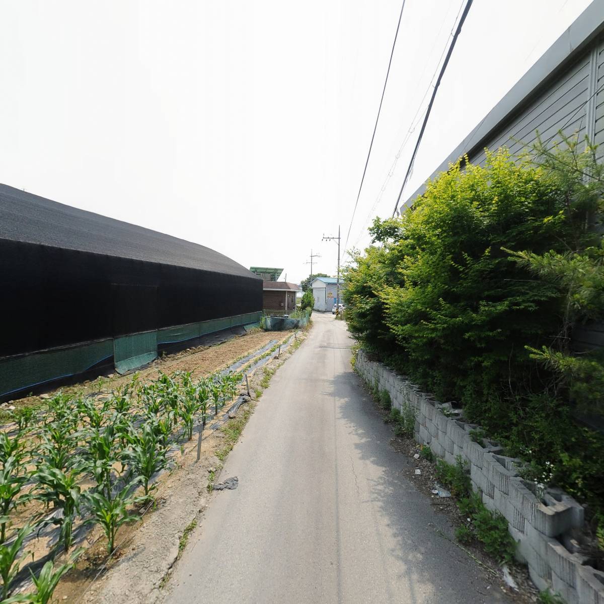 오크베이_2