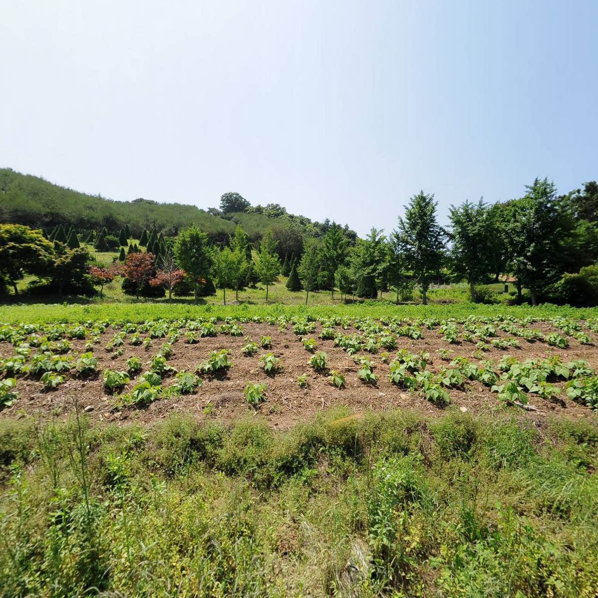 주식회사 더현_3