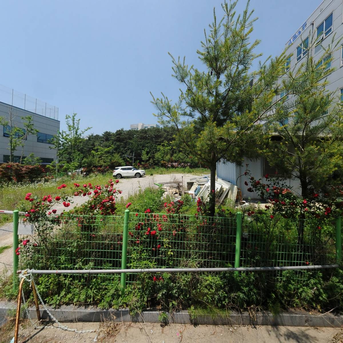 실리콘디스플레이（주）